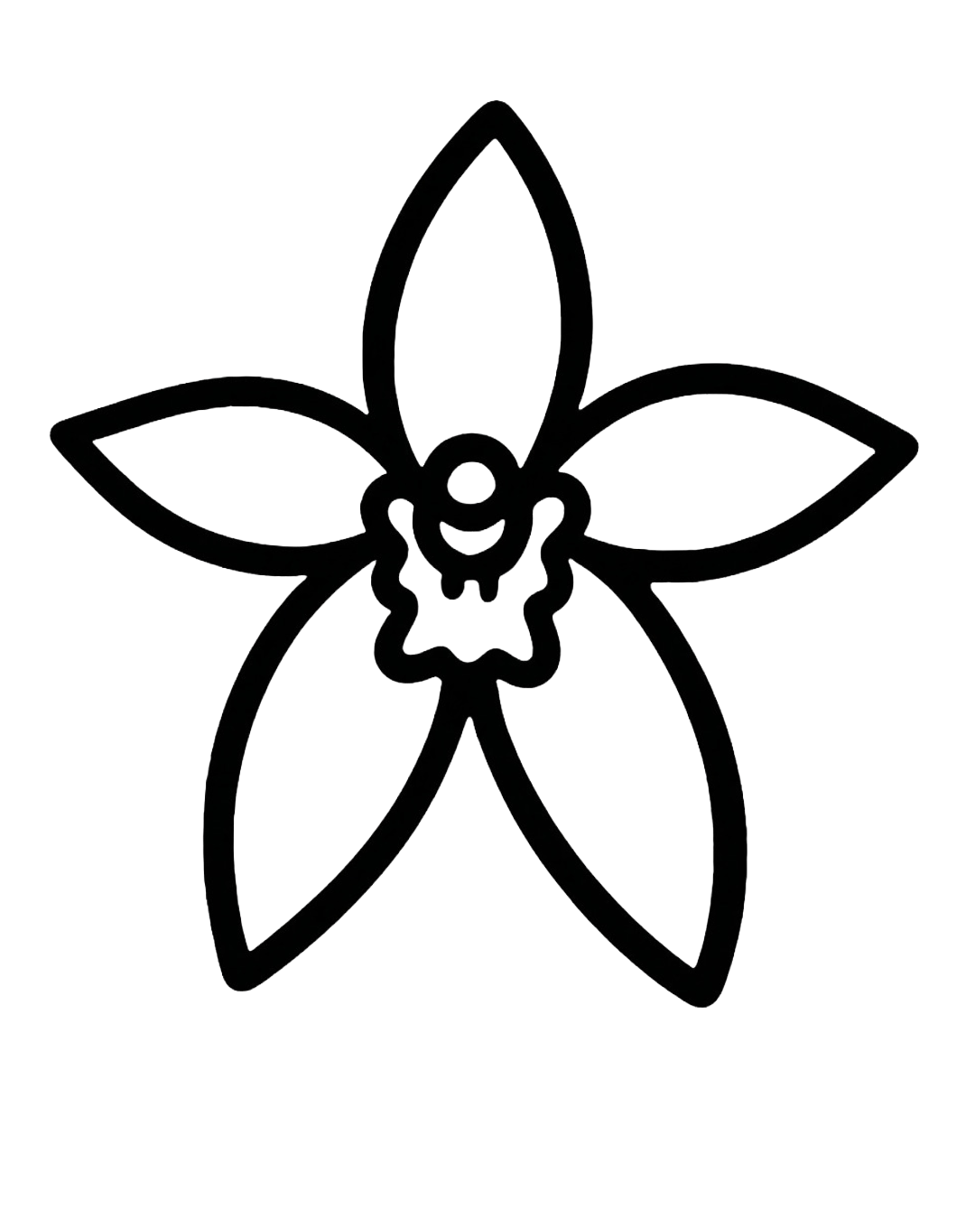 octomeria